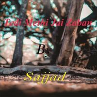 Tedi Methi Jai Zaban Sajjad Song Download Mp3