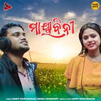 Mayabini Sandip Soumyaranjan,Antara Chakrabarty Song Download Mp3