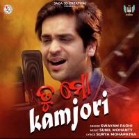 Tu Mo Kamjori Swayam Padhi Song Download Mp3