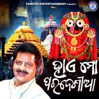 Hai Mo Paradeshia Udit Narayan Song Download Mp3