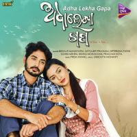 Jienba Mariba Ame Sathi Hei Re Sohini Mishra,Bishnu Mohan Kabi Song Download Mp3