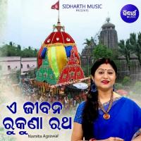 E Jibana Rukuna Ratha Namita Agrawal Song Download Mp3