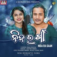 Nida Ra Gaan Sushil Dalai,Aseema Panda Song Download Mp3