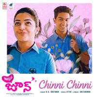 Chinni Chinni (From Hello June) K. S. Chithra,Ifthi Song Download Mp3