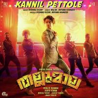 Kannil Pettole Vishnu Vijay,Irfana Hameed Song Download Mp3