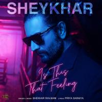 Is This That Feeling Shekhar Ravjiani Song Download Mp3