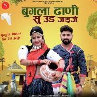 Bugla Dhani Su Ud Jaije Sonu Kanwar Song Download Mp3