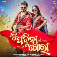 Tu Padmini Gori Udit Narayan,Sandhya Rani Pattajoshi Song Download Mp3