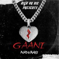 Gaani Nawaab Song Download Mp3