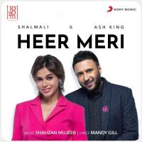 Heer Meri Ash King,Shalmali,Shahzan Mujeeb,Shalmali Kholgade & Shahzan Mujeeb Song Download Mp3