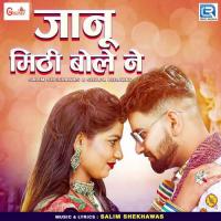 Jaanu Mithi Boleni Salim Shekhawas,Shilpa Bidawat Song Download Mp3