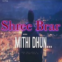 Mithi Dhun Shree Brar Song Download Mp3