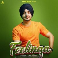 Feelinga Akaal Song Download Mp3