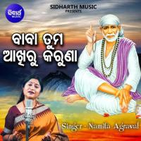 Baba Tuma Akhire Karuna Namita Agrawal Song Download Mp3