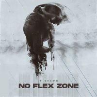 No Flex Zone Dhruv G Song Download Mp3