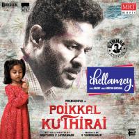 Chellamey (From Poikkal Kuthirai) Shreya Ghoshal,D. Imman Song Download Mp3