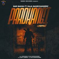 Pardhangi Raja Game Changerz,Sabi Bagga Song Download Mp3