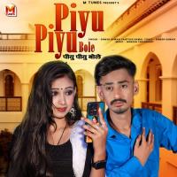 Piyu Piyu Bole Dinesh Dewasi,Santosh Rawal Song Download Mp3