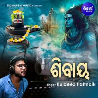 Shivay Kuldeep Pattnaik Song Download Mp3