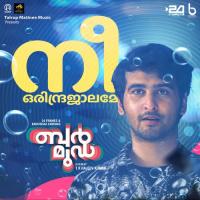 Nee Orindrajalame (From "Bermuda")  Song Download Mp3