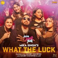 What The Luck (From "Jahaan Chaar Yaar")  Song Download Mp3