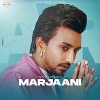 Marjaani Tippu Sultan Song Download Mp3