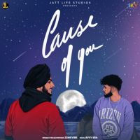Cause Of You Zehr Vibe Song Download Mp3