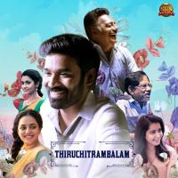 Thiruchitrambalam Title Theme (Instrumental) Anirudh Ravichander Song Download Mp3