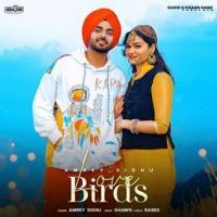 Love Birds Amrey Sidhu Song Download Mp3