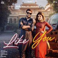 Like You Vicky Dhaliwal,Gurlez Akhtar Song Download Mp3