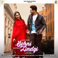 Sohni Zindgi  Sajjan Adeeb Song Download Mp3