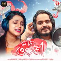 Nali Odhani Sandeep Panda,Aseema Panda Song Download Mp3