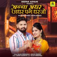 BANNA ADHAR ADHAR PAG DHARJO Salim Shekhawas,Shilpa Bidawat Song Download Mp3
