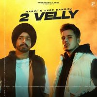 2 Velly Harvi,Veer Sandhu Song Download Mp3