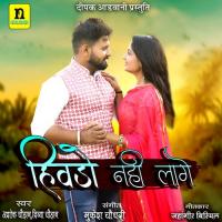 HIVDO NAHI LAGE Ashok Chouhan,Divya Chouhan Song Download Mp3