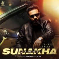 Sunakha Jawai Shree Brar Song Download Mp3