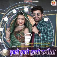Havle Havle Halo Banni Sa Mukesh Choudhary,Jyoti Sen Song Download Mp3