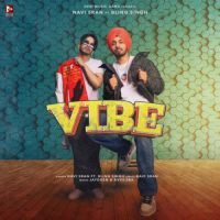 Vibe Bling Singh,Navi Sran Song Download Mp3