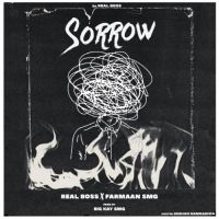 Sorrow Real Boss Song Download Mp3