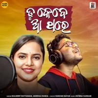 Tu Kebe Aa Thare Kuldeep Pattanaik,Aseema Panda Song Download Mp3