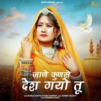 Jane Kunse Desh Gayo Tu Bablu Ankiya,Sonu Kanwar Song Download Mp3