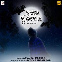 Tu Chanda Mu Chakora Aarya SP Song Download Mp3