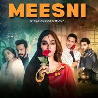 Deewana Dil Mujhe Kiye Ja Raha Hai (From "Meesni")  Song Download Mp3