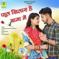 PHOOL KHILYA HAI BAGA MAIN Salim Shekhawas,Shilpa Bidawat Song Download Mp3