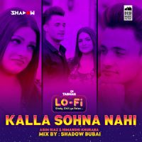 Kalla Sohna Nahi (Lo Fi) DJ Shadow Dubai Song Download Mp3