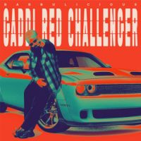 Gaddi Red Challenger Babbu,Babbulicious Song Download Mp3