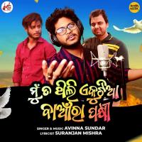 Mun Ta Thili Ekutia Baanra Pakhi Avinna Sundar Song Download Mp3