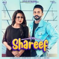 Shareef Gurlej Akhtar,Dilpreet Dhillon Song Download Mp3