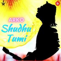Shudhu Tumi  Song Download Mp3