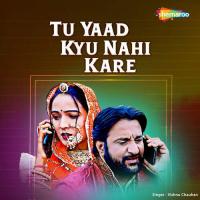 Tu Yaad Kyu Nahi Kare Vishnu Chauhan Song Download Mp3